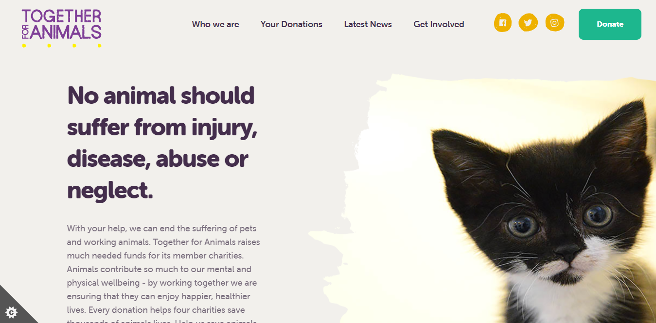 together-for-animal