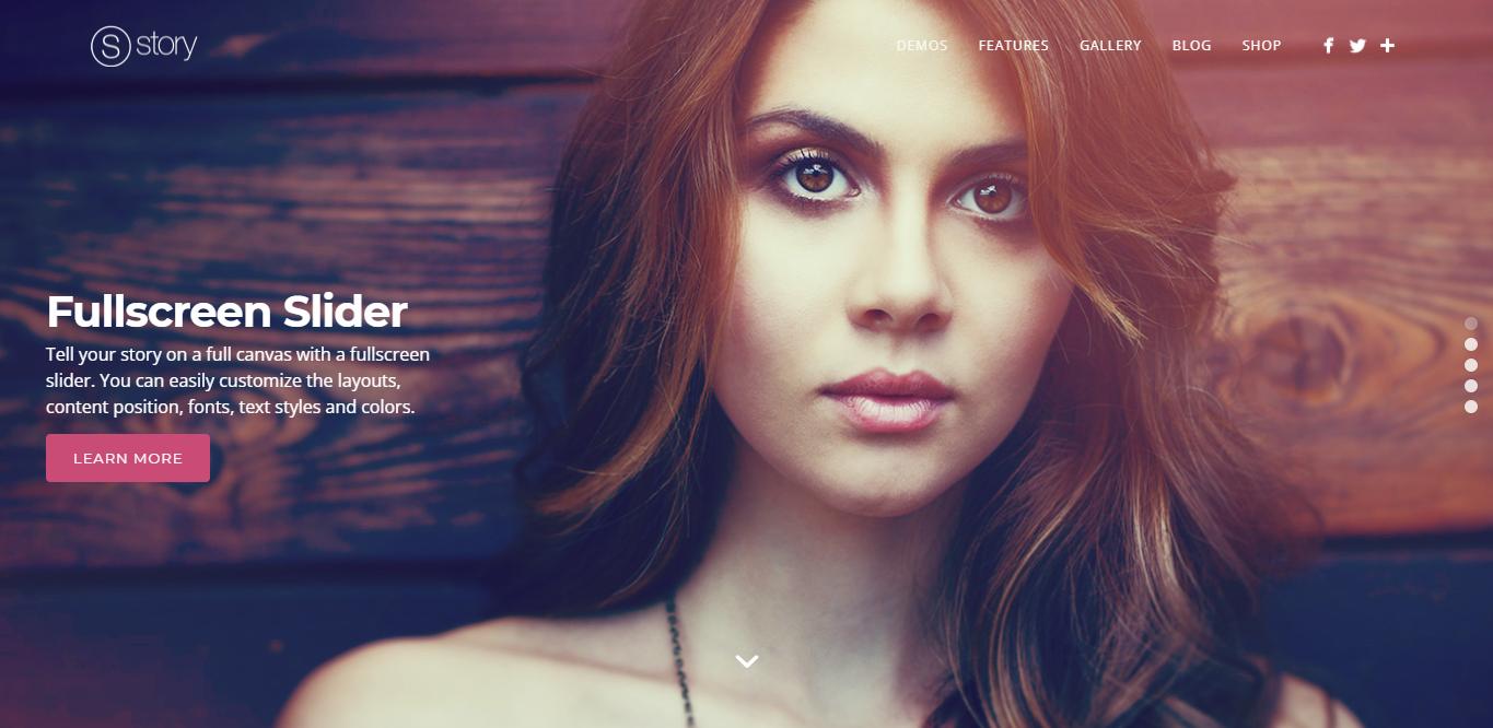 story wordpress theme